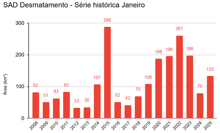Desmatamento Amazônia