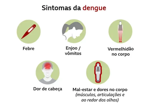 Sintomas da dengue: atenção aos sinais que não devem ser ignorados