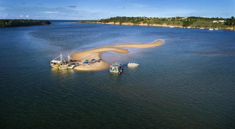 Golfinhos nadando nas águas da Praia de Pipa, em Tibau do Sul, Rio Grande do Norte