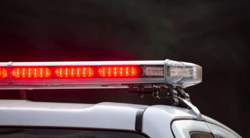 Investigação sobre a morte de um homem atacado por pitbulls em Santa Maria